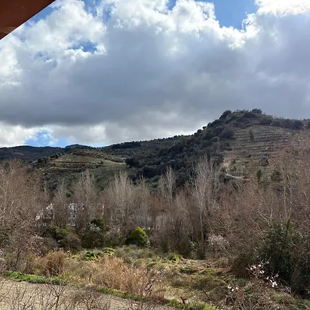 Alameda Pinos Genil